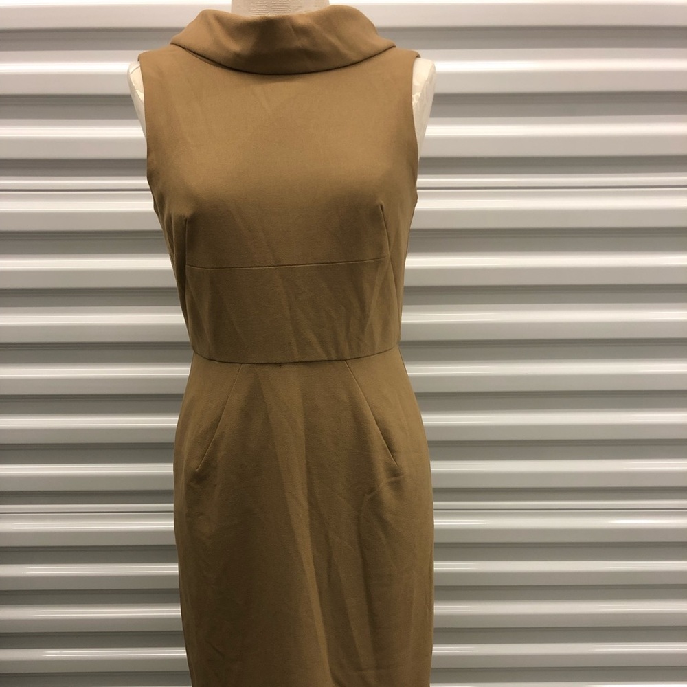 Tan professional dress